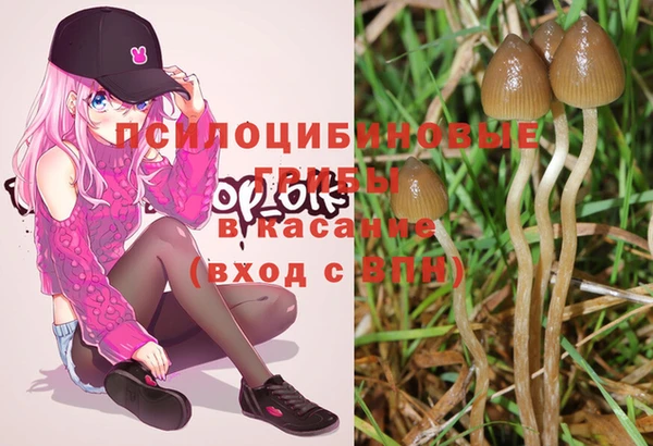 2c-b Куйбышев