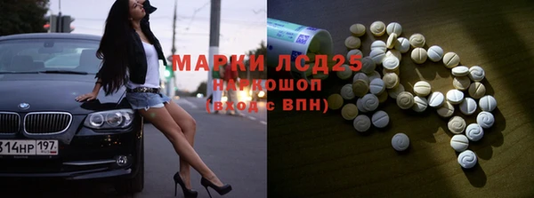 хмурый Кукмор